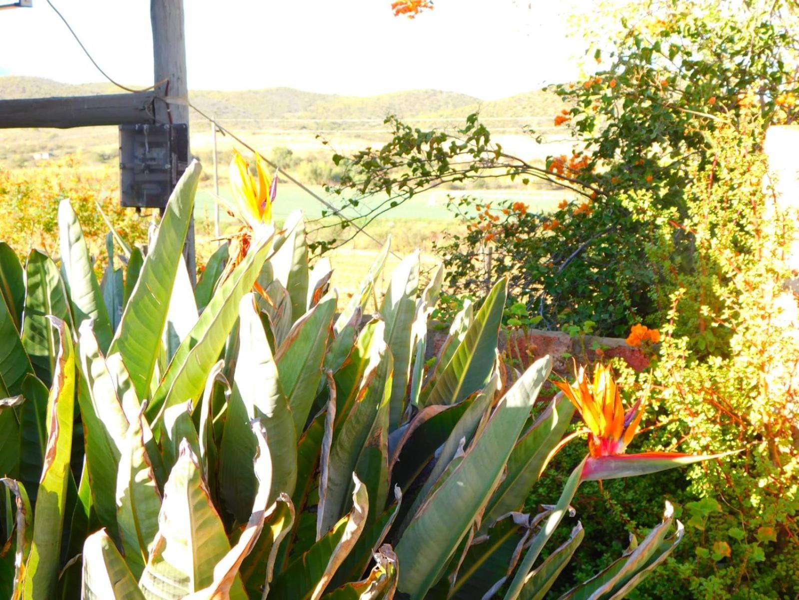 Ferienwohnung De Rusty Farm Exterior foto